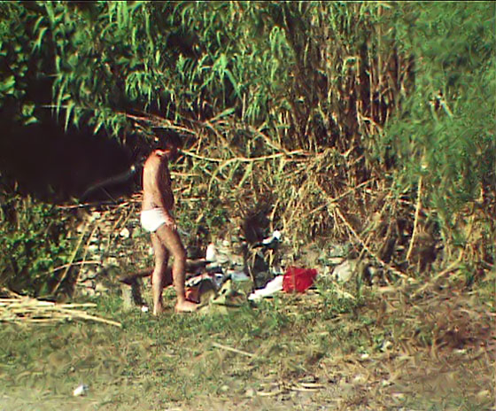 01-Kampos-045-Mäuerchen+Bambus+Kater-560 01-Kampos-045-Mäuerchen+Bambus+Kater-560