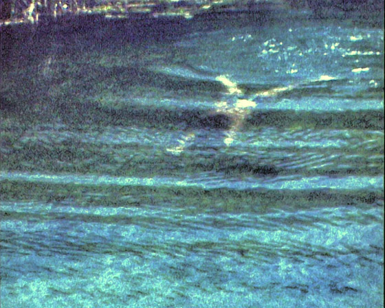 02-Kampos-1098-untertauchen im See beim Schwimmen-560 02-Kampos-1098-untertauchen im See beim Schwimmen-560