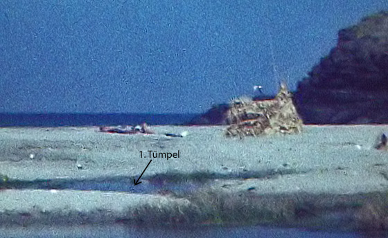 02-Kampos-1421-Erster Tümpel-560 02-Kampos-1421-Erster Tümpel-560
