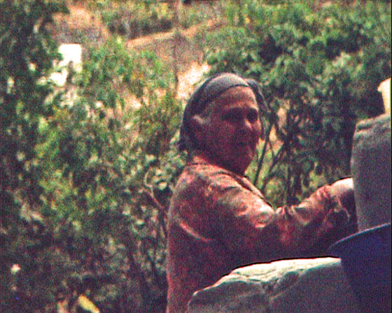02-Kampos-2379-Samelou 02-Kampos-2379-Samelou
