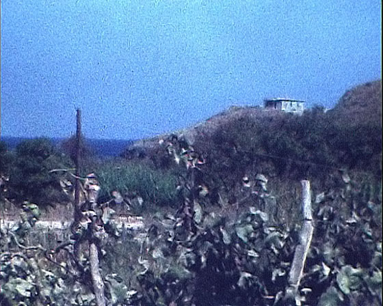02-Kampos-2526-Blick zurück 02-Kampos-2526-Blick zurück