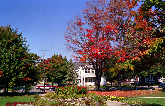 Canada (1986)-120-Parry Sound-Herbstbäume mit Wohn-Haus-1-560