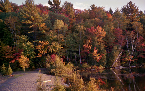 Canada (1986)-135-Windsurfingplatz mit Strand im Herbst-560 Canada (1986)-135-Windsurfingplatz mit Strand im Herbst-560