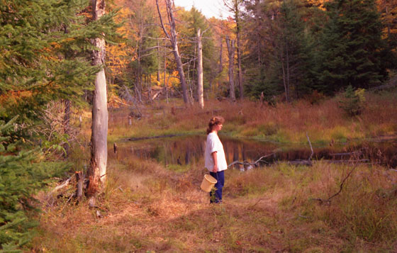 Canada (1986)-170-Waldwanderung - Hase mit Pilzeimer am Waldsee-1-560 Canada (1986)-170-Waldwanderung - Hase mit Pilzeimer am Waldsee-1-560