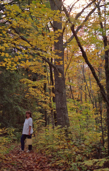 Canada (1986)-174--Waldwanderung - Hase mit Pilzeimer im Wald-1-560
