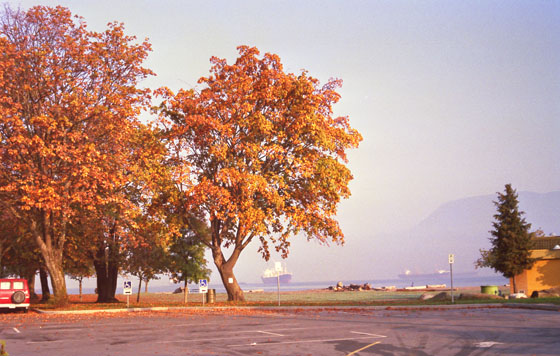 Canada (1986)-263-Vancouver-Blick durch den Jericho Park auf Schiffe im Bay-1-560