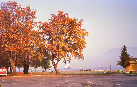 Canada (1986)-263-Vancouver-Blick durch den Jericho Park auf Schiffe im Bay-1-560 Canada (1986)-263-Vancouver-Blick durch den Jericho Park auf Schiffe im Bay-1-560