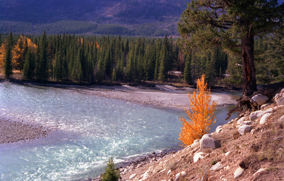 Canada (1986)-267-Athabasca-River-560