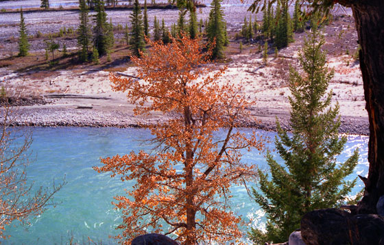 Canada (1986)-268-Athabasca-River-2-560-1 Canada (1986)-268-Athabasca-River-2-560-1
