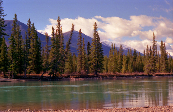 Canada (1986)-275-Athabasca River-3-560 Canada (1986)-275-Athabasca River-3-560