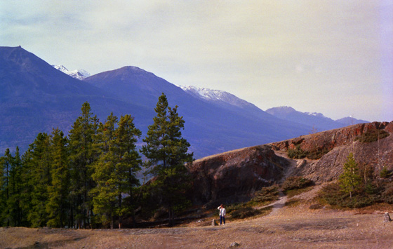 Canada (1986)-318-Jasper-Hase in den Rockies 560 Canada (1986)-318-Jasper-Hase in den Rockies 560