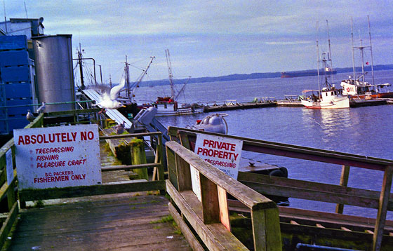 Canada (1986)-339-Pr Rupert - Fischereihafen-1 - 560 Canada (1986)-339-Pr Rupert - Fischereihafen-1 - 560