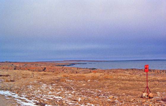 Canada (1986)-367-Churchill - Polarbären-Revier 560 Canada (1986)-367-Churchill - Polarbären-Revier 560