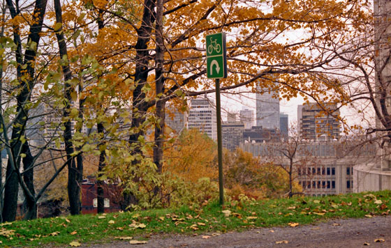 Canada (1986)-479-Montreal-Park mit Skyline-1-560