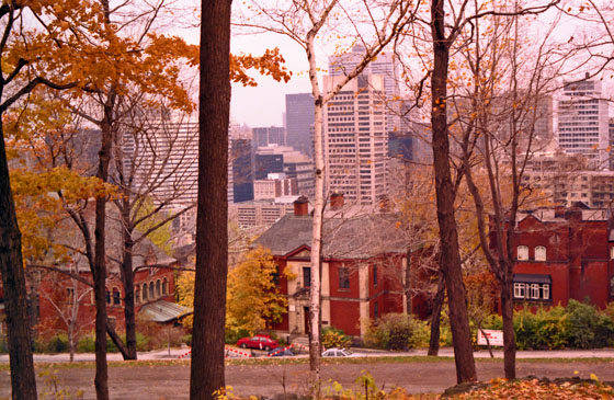 Canada (1986)-484-Montreal-Park mit Skyline-2-560
