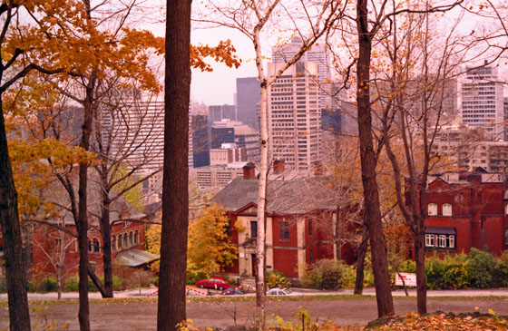 Canada (1986)-484-Montreal-Park mit Skyline-2-560 Canada (1986)-484-Montreal-Park mit Skyline-2-560