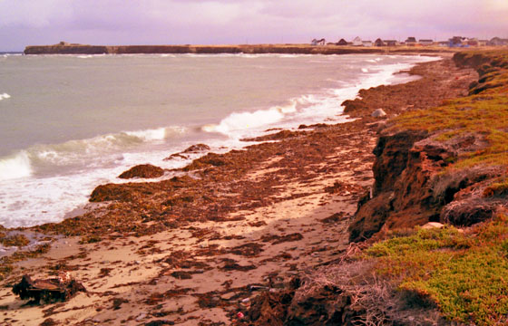 Canada (1986)-513-Sydney Mines-Bucht vor der Spitze 560 Canada (1986)-513-Sydney Mines-Bucht vor der Spitze 560