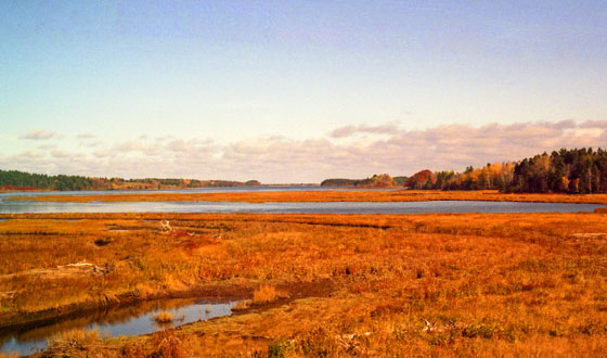 Canada (1986)-523-Nova Scotia-Seenplatte 560 Canada (1986)-523-Nova Scotia-Seenplatte 560