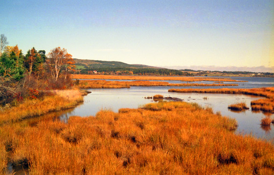 Canada (1986)-524-Nova Scotia-Moorlandschaft 560 Canada (1986)-524-Nova Scotia-Moorlandschaft 560