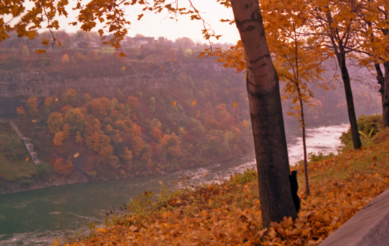 Canada (1986)-542-Niagara Falls-am Fluß entlang 560