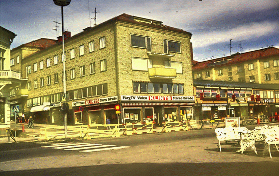 81-03-0016-Hudiksvall-Klint, Makro, gelbes Leuchten, denoise-560 81-03-0016-Hudiksvall-Klint, Makro, gelbes Leuchten, denoise-560