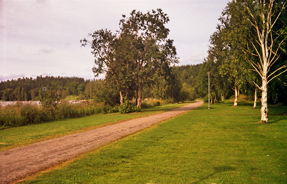 81-04-0027-Hudiksvall-lilla fjärden-2, telezoom, kraftvoll-560 81-04-0027-Hudiksvall-lilla fjärden-2, telezoom, kraftvoll-560