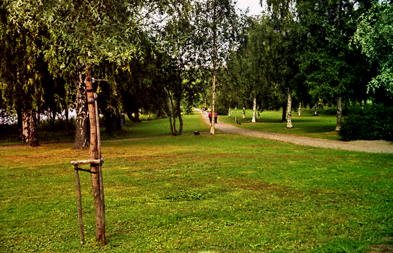 81-04-0029-Hudiksvall-lilla fjärden-1, telezoom, inpaint, Struktur dkl-560 81-04-0029-Hudiksvall-lilla fjärden-1, telezoom, inpaint, Struktur dkl-560