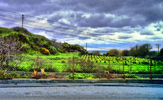 85-01-Kampos-Film5 - 16-Weinfelder-Zaun-sharpen-hdr4-denoise-impaint -560 85-01-Kampos-Film5 - 16-Weinfelder-Zaun-sharpen-hdr4-denoise-impaint -560