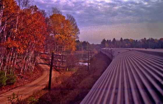 Canada (1986)-436-Ontario-Zug mit Weg und Birken-sharpen-560 Canada (1986)-436-Ontario-Zug mit Weg und Birken-sharpen-560