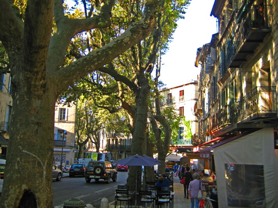 IMG_9302-Boulevard Gambetta-2-560 IMG_9302-Boulevard Gambetta-2-560