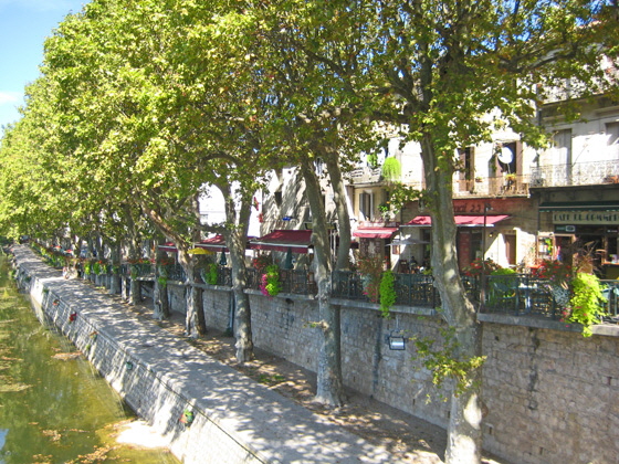 IMG_9440-Cafés am Fluss-560 IMG_9440-Cafés am Fluss-560