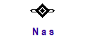 N a s