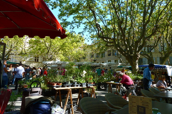 P1040824-Mittwochsmarkt-Blumenstände-560 P1040824-Mittwochsmarkt-Blumenstände-560