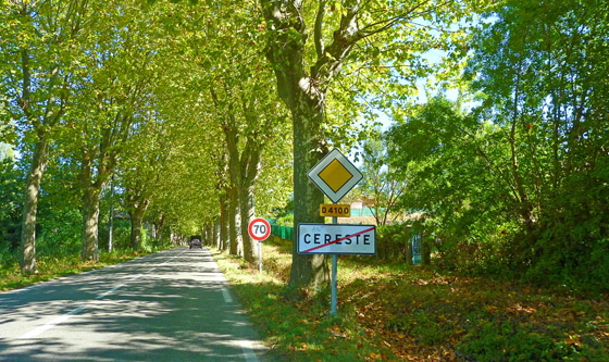 P1050193-Allee bei Creste-1-560