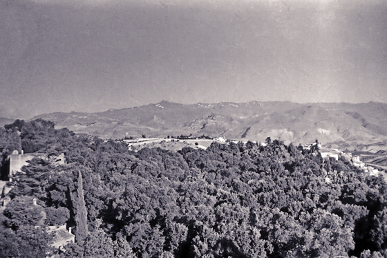 img017-Blick von der Alhambra in die Sierra Nevada-1, impaint, sharpen, denoise, black&white-560 img017-Blick von der Alhambra in die Sierra Nevada-1, impaint, sharpen, denoise, black&white-560