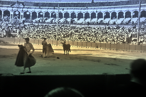 img032-Sevilla Stierkampf-12, sharpen, denoise, black&white, color5-560