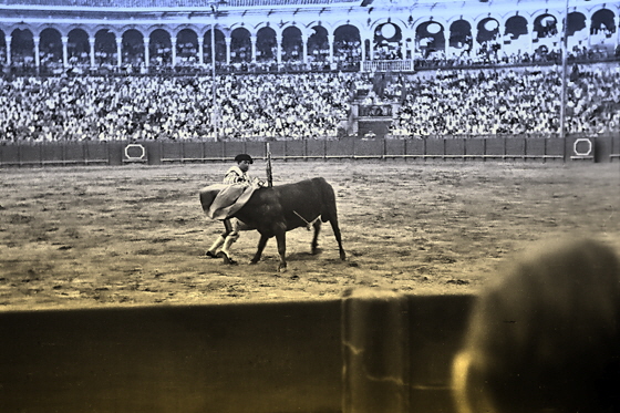 img040-Sevilla Stierkampf-14, sharpen, denoise, black&white, impaint, pse7, color5-560